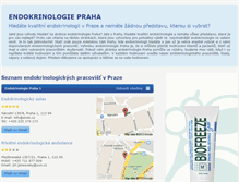 Tablet Screenshot of endokrinologiepraha.info